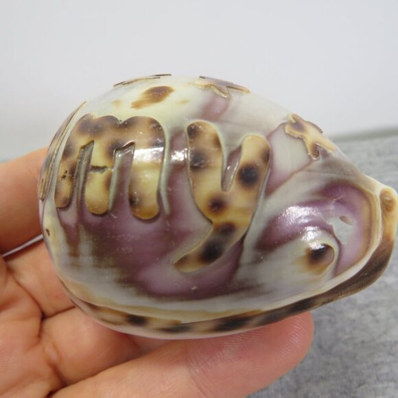 REAL Sea Shell Hand-Carved “Amy” Cowrie Shell Hawaiian - Picture 8 of 10